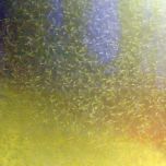 Environ 5000 alevins dans ce bassin.