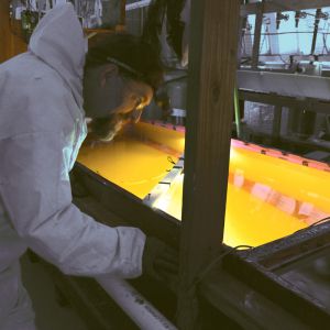 Jean-Luc et son passe-temps favori : l&lsquo;étude de ses protégés.