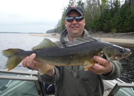 Une prise exceptionnelle. Un doré de belle taille!