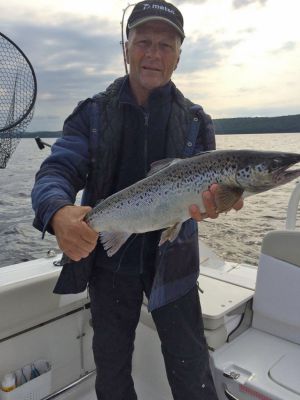 Encore une ouananiche! Un mâle de 60 cm, pêché le 29 août.