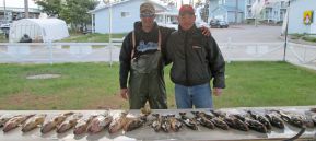 Ça se passe de commentaires! À noter : les pêcheurs sont nombreux et les limites ne sont pas dépassées.